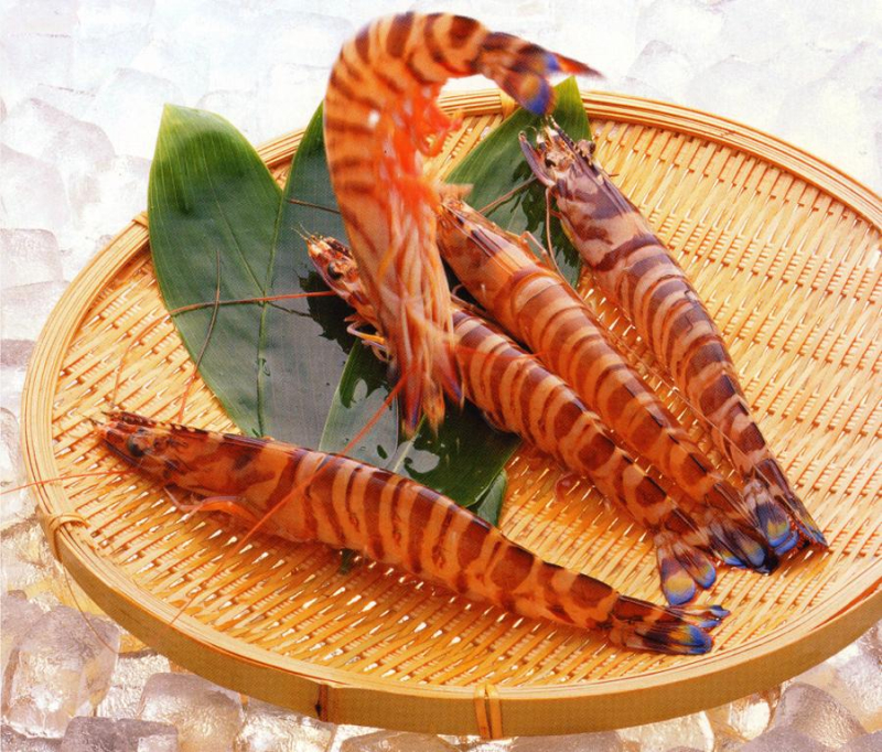 Fukae Fishing Co-op: Shrimp Farm Direct Sales